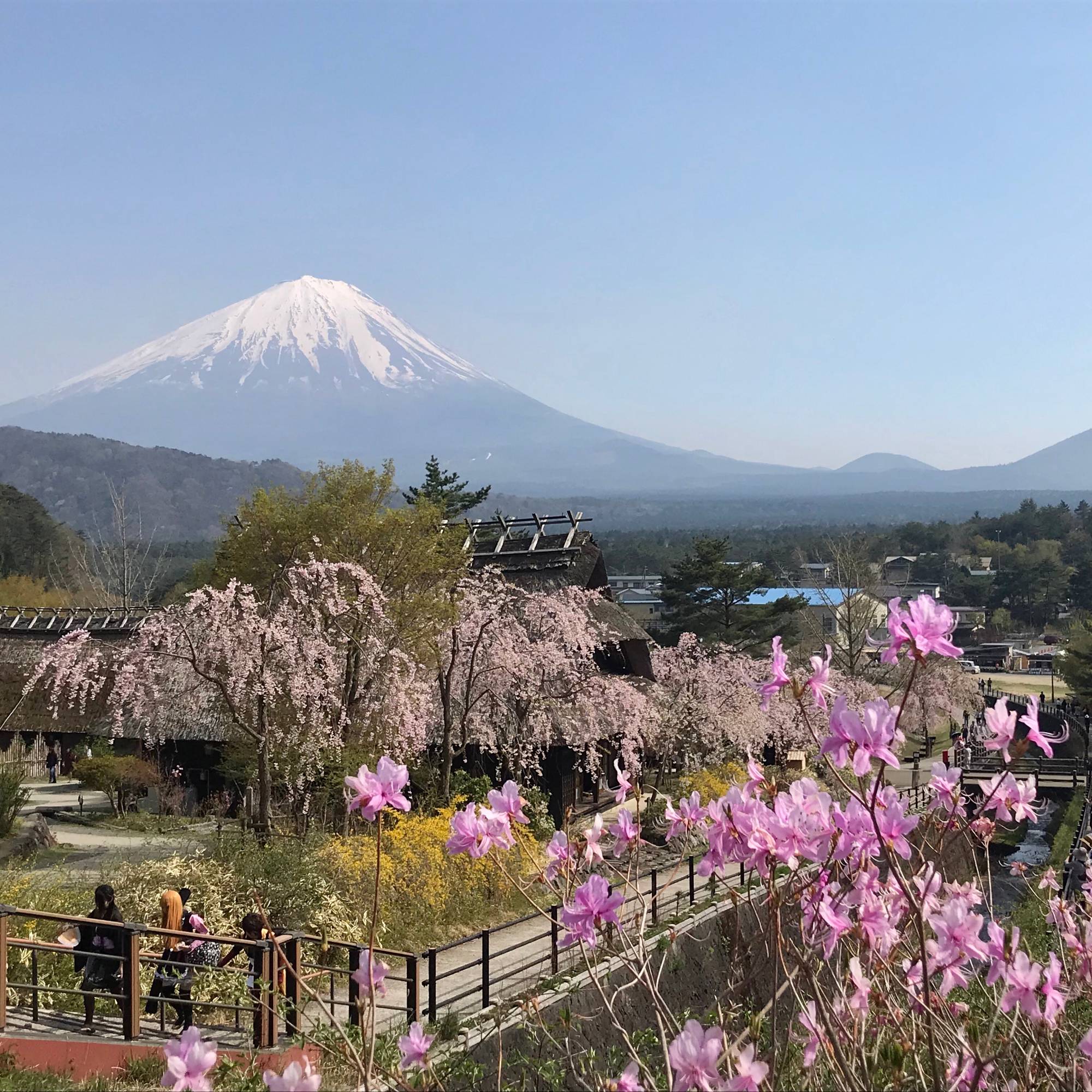 mountain in Japan